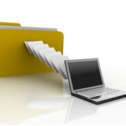 PDF Data Entry Services